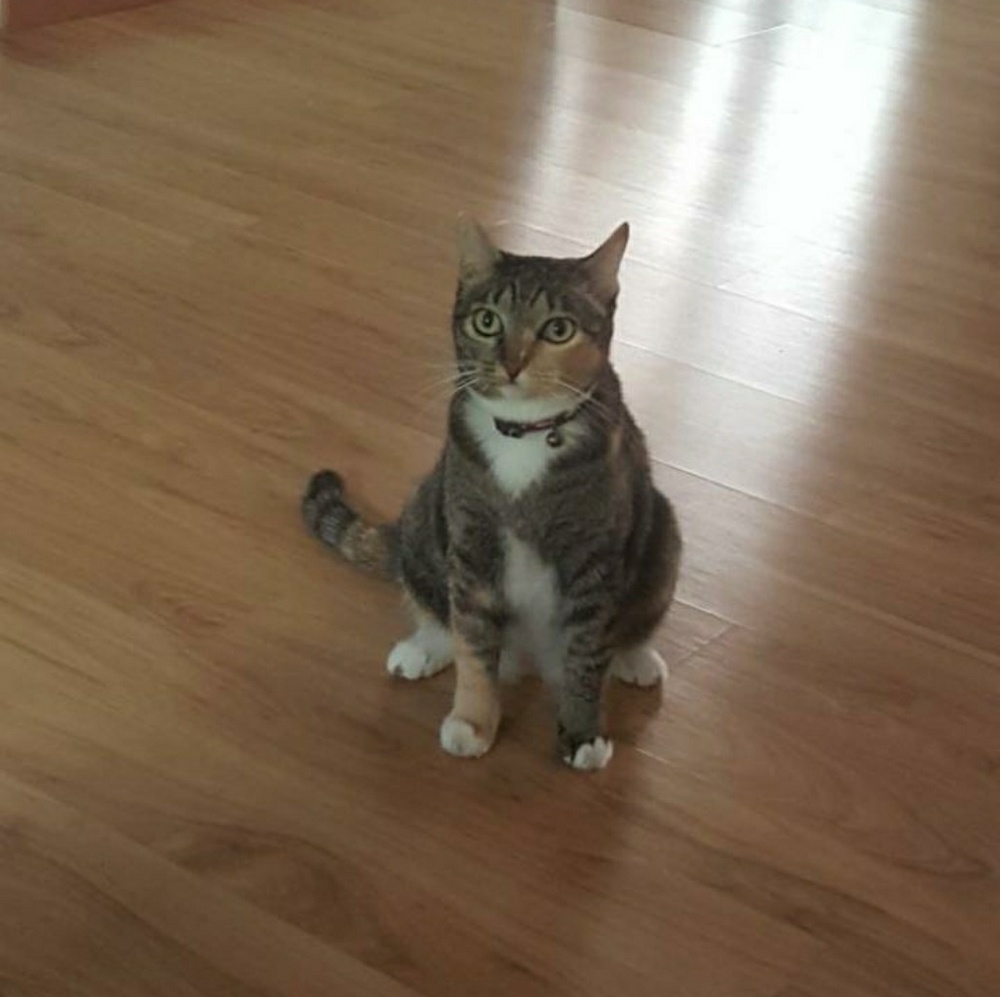 Meet your Posher, Rupe